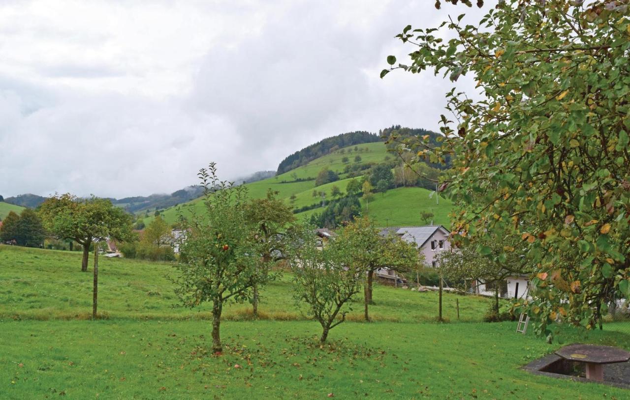 2 Bedroom Awesome Apartment In Welschensteinach Exterior photo